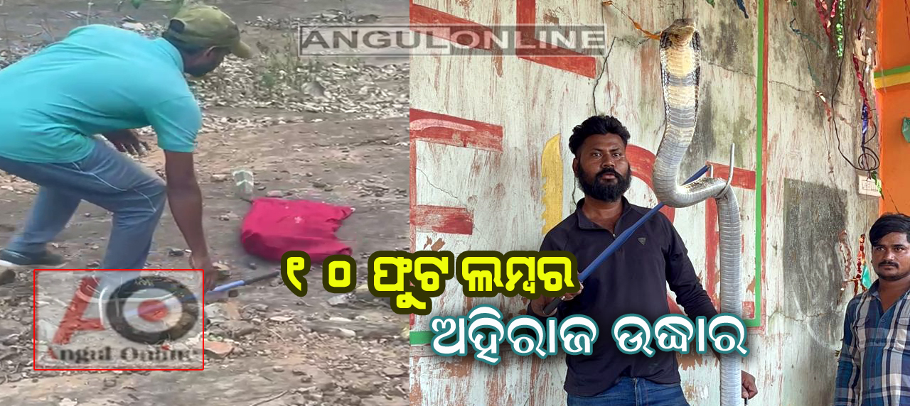 କୂଅ ଭିତରେ ବୁଲୁଥିଲା ୧୦ ଫୁଟ ଲମ୍ବର ଅହିରାଜ ସାପ – ଉଦ୍ଧାର କଲେ ସର୍ପମିତ୍ର