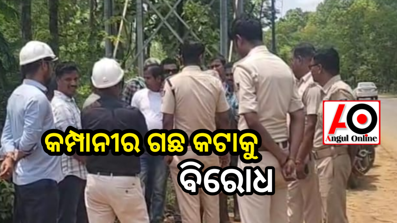 ସିଙ୍ଗରେଣୀ ଖଣି ପାଇଁ ଗଛ କଟାକୁ ବିରୋଧ