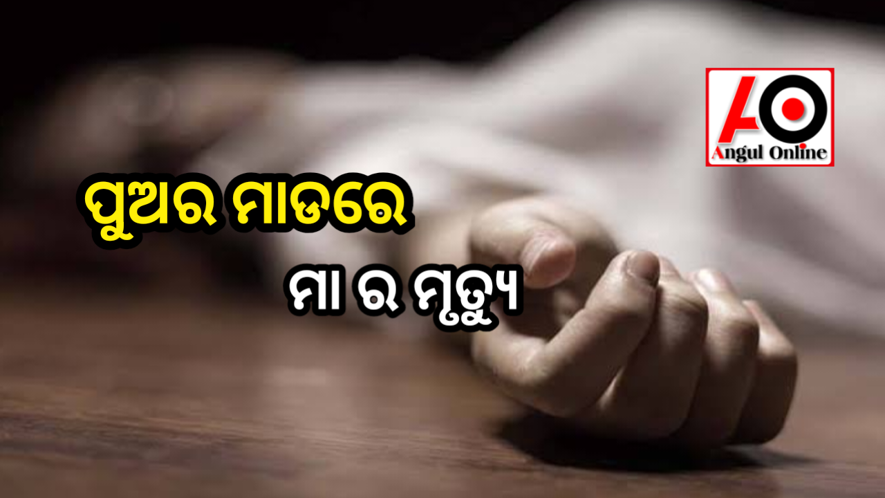 ମା କୁ ପିଟି ପିଟି ମାରିଦେଲା ପୁଅ