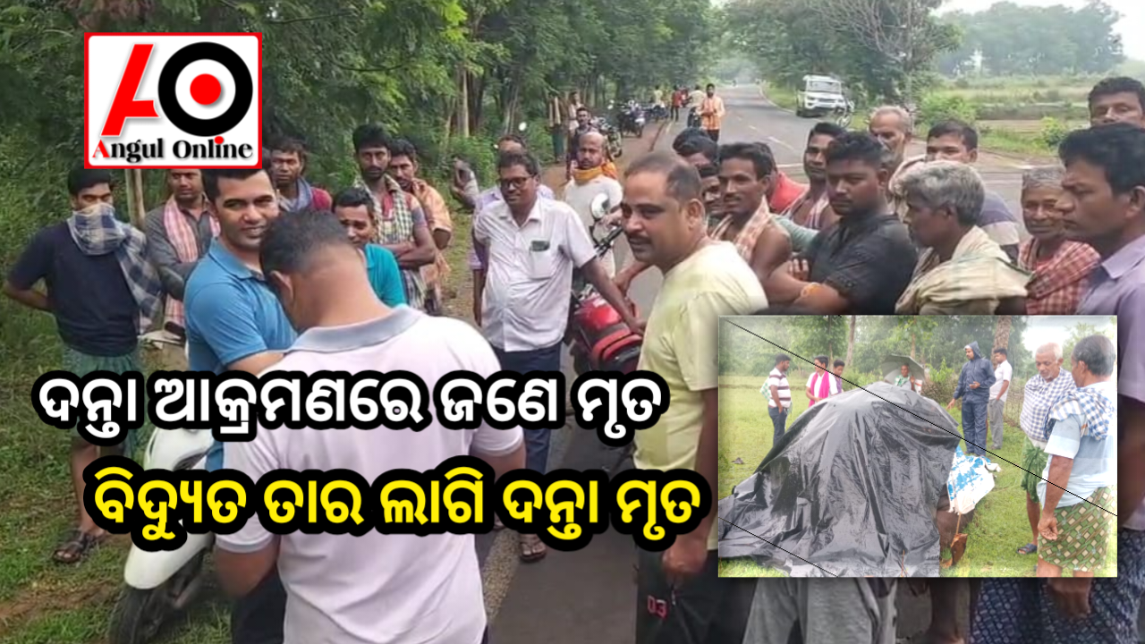 ଗୋଟିଏ ପଟେ ଦନ୍ତା ନେଲା ଜୀବନ ଅନ୍ୟପଟେ ଦନ୍ତାର ମୃତ୍ୟୁ