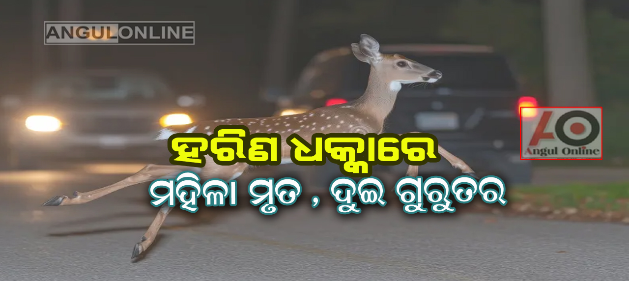 ହରିଣ ଧକ୍କାରେ ମହିଳା ମୃତ