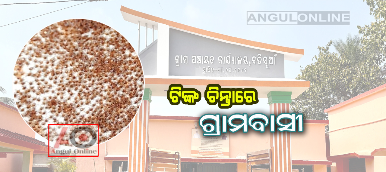 ଟିଙ୍କ ପ୍ରାଦୁର୍ଭାବରେ ଆତଙ୍କିତ ଗ୍ରାମବାସୀ