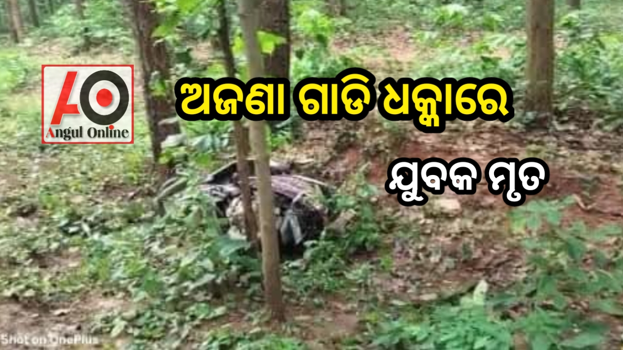 ଅଜଣା ଗାଡି ଧକ୍କାରେ ସ୍କୁଟି ଚାଳକ ମୃତ