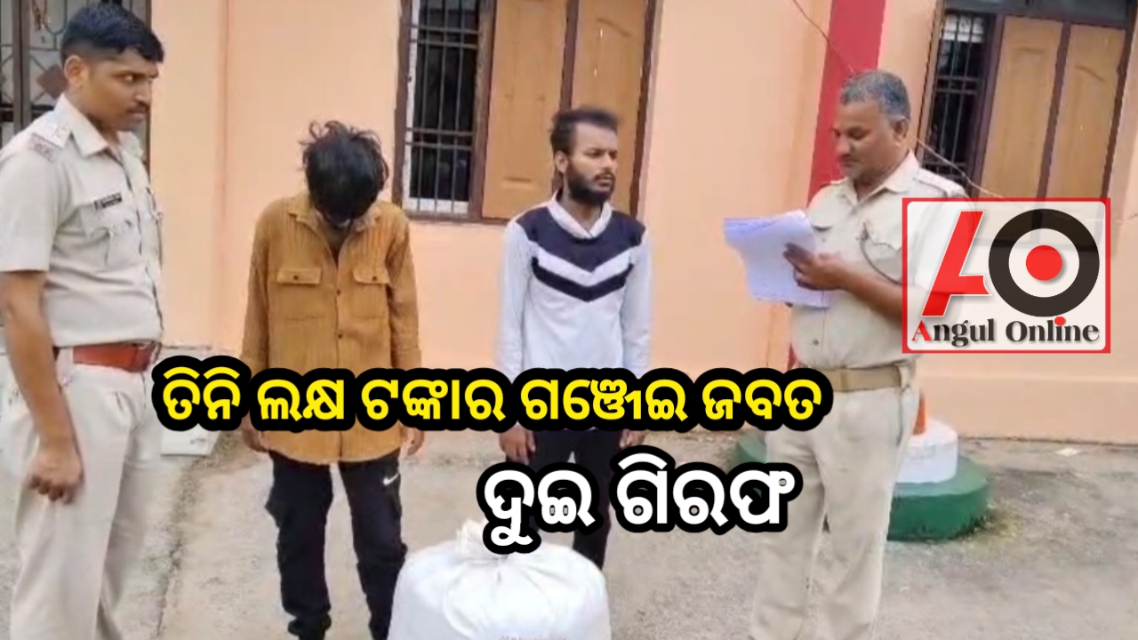 ତିନି ଲକ୍ଷ ଟଙ୍କା ମୂଲ୍ୟର ଗଞ୍ଜେଇ ଜବତ – ଦୁଇ ଗିରଫ