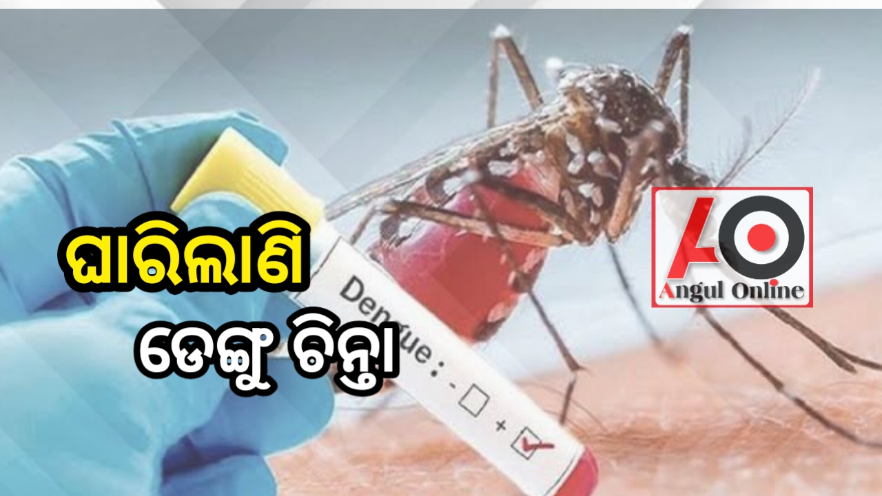 ଡେଙ୍ଗୁ ଆତଙ୍କ – ତୁରନ୍ତ ପଦକ୍ଷେପ ନେବା ପାଇଁ ପ୍ରଶାସନକୁ ଅନୁରୋଧ