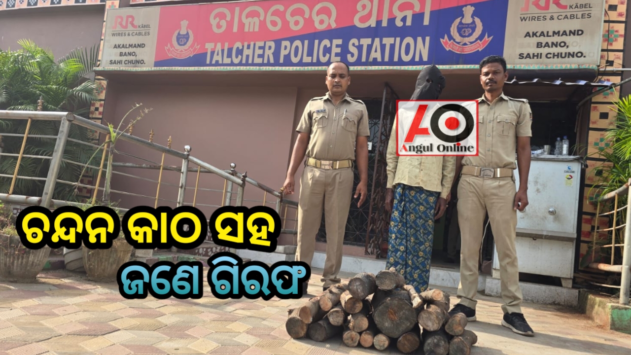 ଚନ୍ଦନ କାଠ ସହ ଜଣେ ଗିରଫ