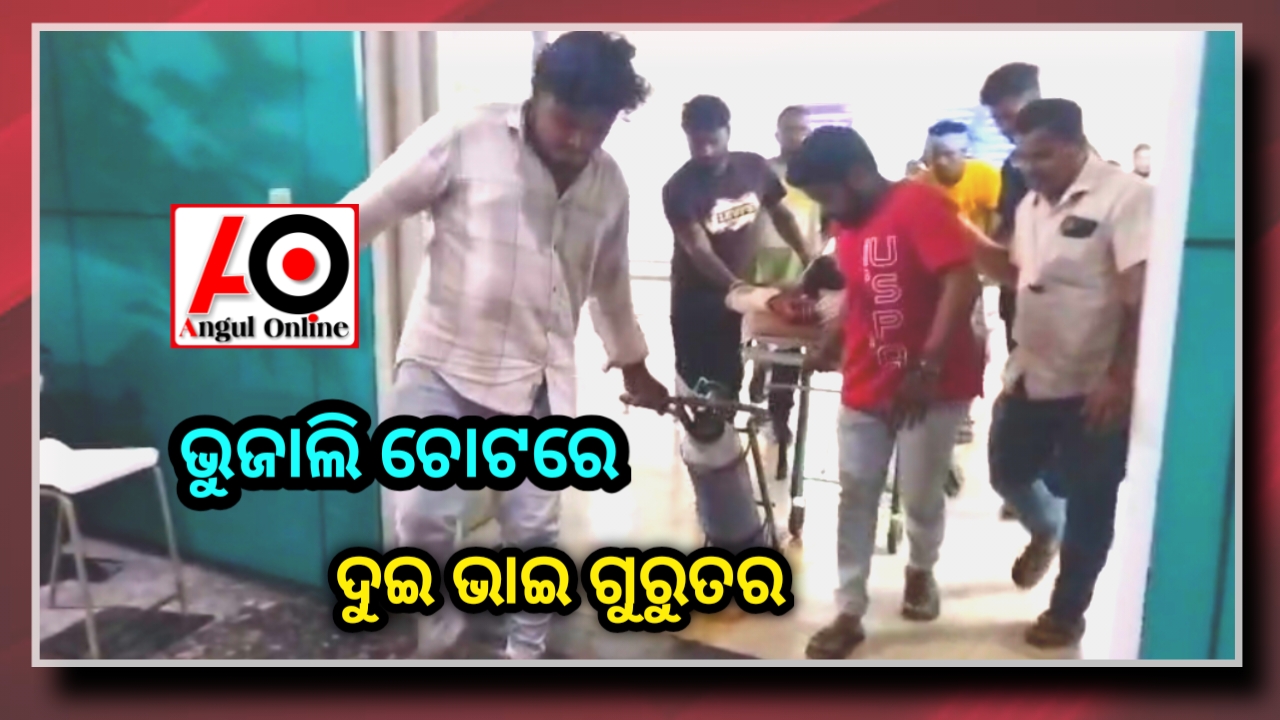 ହରିମଉରୀ ଛକରେ ଭୁଜାଲି ମାଡରେ ଦୁଇ ଭାଇ ଗୁରୁତର