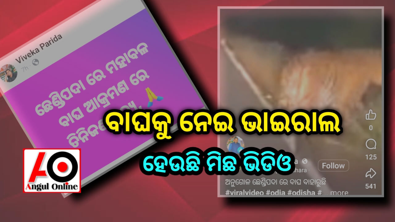 ବାଘ ଠିକଣା ପାଉନି ବନ ବିଭାଗ – ଭାଇରାଲ ହେଉଛି ମିଛ ଭିଡିଓ