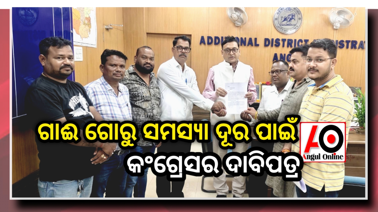 ରାସ୍ତାଘାଟ, ଗଳିକନ୍ଦିରେ ବୁଲୁଛନ୍ତି ଗାଈ ଓ ଷଣ୍ଢ – ବଢୁଛି ଦୁର୍ଘଟଣା