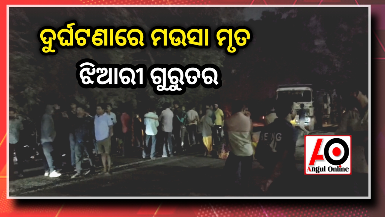 ଅଜଣା ଗାଡି ଧକ୍କାରେ ମଉସା ମୃତ – ଝିଆରୀ ଗୁରୁତର