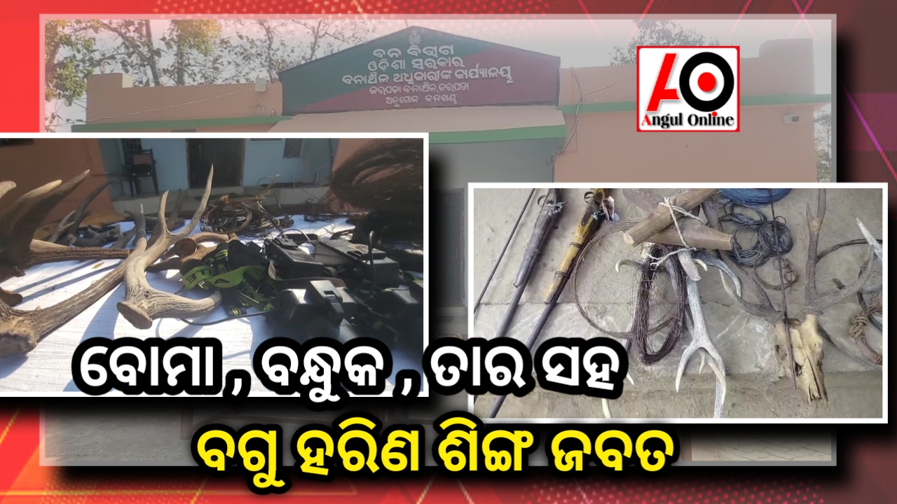 ହାତୀ ମୃତ୍ୟୁ ପରେ ବନ ବିଭାଗର ଚଢ଼ାଉ : ଶିକାର ସାମଗ୍ରୀ ସହ ହରିଣ ସିଙ୍ଗ ଆଦି ଜବତ