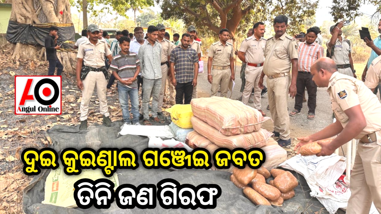 ଦୁଇ କୁଇଣ୍ଟାଲରୁ ଅଧିକ ଗଞ୍ଜେଇ ଜବତ , ତିନି ଜଣ ଗିରଫ