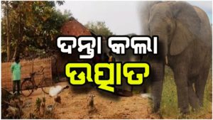 ଗାଁ ଭିତରେ ଉତ୍ପାତ କଲା ଦନ୍ତା – ଘର ଭାଙ୍ଗିବା ସହ ଫସଲ ଉଜାଡ଼ିଲା