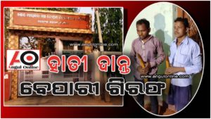 ହାତୀ ଦାନ୍ତ ଜବତ  – ଦୁଇ ବେପାରୀ ଗିରଫ