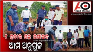 ସ୍ବପ୍ନର ଅନୁଗୁଳ – ସବୁଜ ଅନୁଗୁଳ ଲକ୍ଷ୍ୟରେ ଚାରା ରୋପଣ ଆରମ୍ଭ