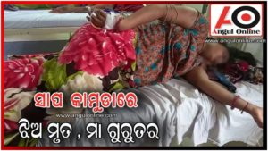 ବିଷଧର ସାପ କାମୁଡ଼ାରେ ଝିଅ ମୃତ ମା ଗୁରୁତର