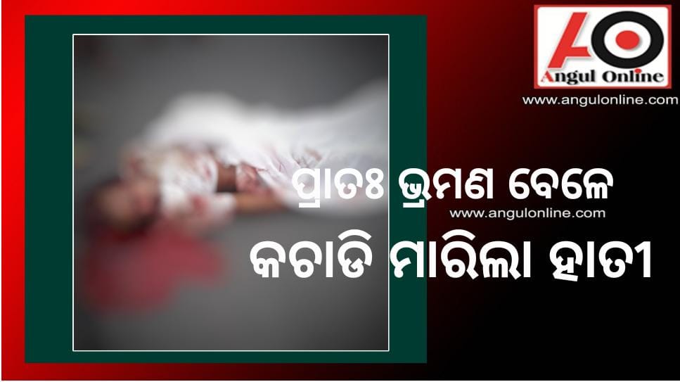 ପ୍ରାତଃ ଭ୍ରମଣ ବେଳେ ହାତୀ ଆକ୍ରମଣରେ ମୃତ୍ୟୁ