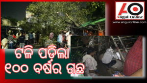 ବସଷ୍ଟାଣ୍ଡରେ ଟଳି ପଡିଲା ପୁରୁଣା ଗଛ – ଅଳ୍ପକେ ବର୍ତ୍ତିଲେ ଅନେକ ଲୋକ