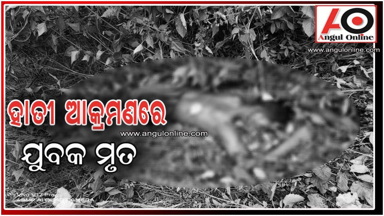 ହାତୀ ଆକ୍ରମଣରେ ଯୁବକ ମୃତ