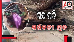 ଚଳନ୍ତା ଅଟୋ ଉପରେ ପଡିଲା ଗଛ – ଗର୍ଭବତୀଙ୍କ ସମେତ ଦୁଇ ମୃତ