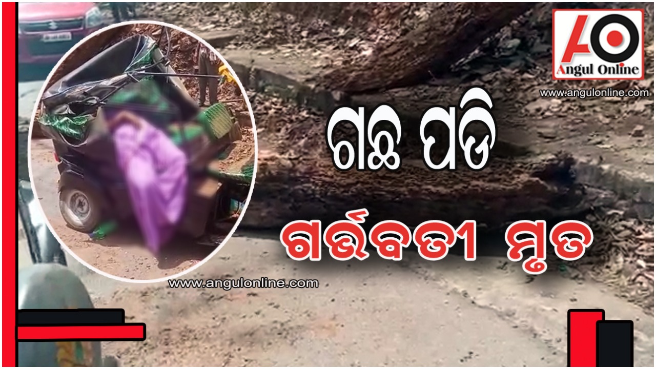 ଚଳନ୍ତା ଅଟୋ ଉପରେ ପଡିଲା ଗଛ – ଗର୍ଭବତୀଙ୍କ ସମେତ ଦୁଇ ମୃତ