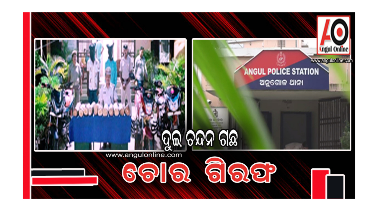 ଦୁଇ ଚନ୍ଦନ ଗଛ ଚୋର ଗିରଫ – ଚନ୍ଦନ କାଠ ଜବତ