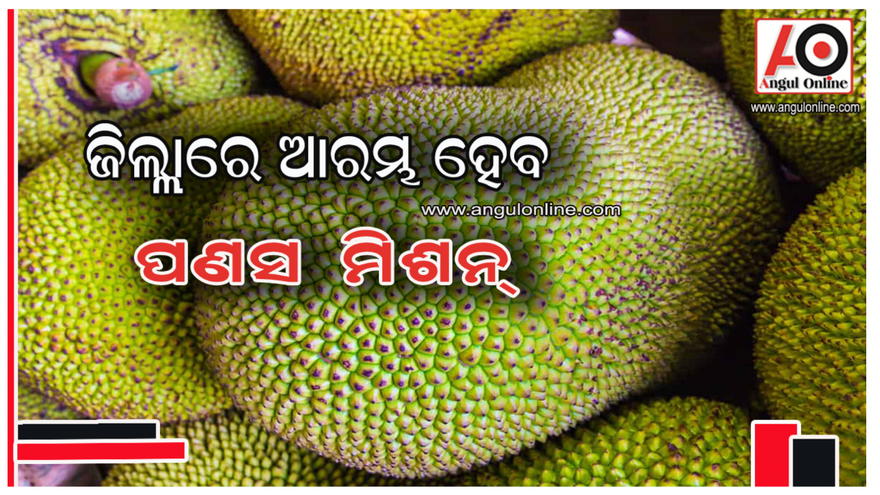 ଅନୁଗୁଳ ଜିଲ୍ଲାରେ ବସିବ ପଣସ ପ୍ରକ୍ରିୟାକରଣ ସ୍ବତନ୍ତ୍ର  ୟୁନିଟ