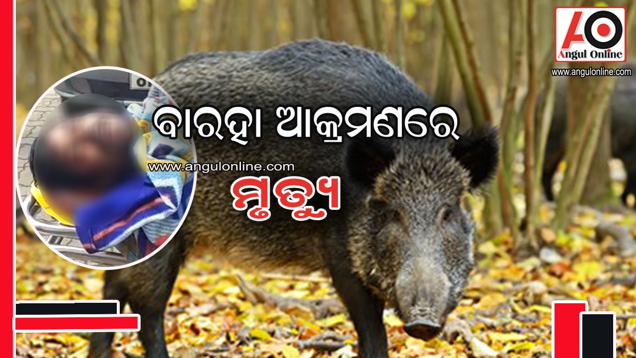 ବାରହା ଆକ୍ରମଣରେ ଜଣେ ମୃତ