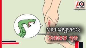 ସାପ କାମୁଡାରେ ନାବାଳକ ମୃତ