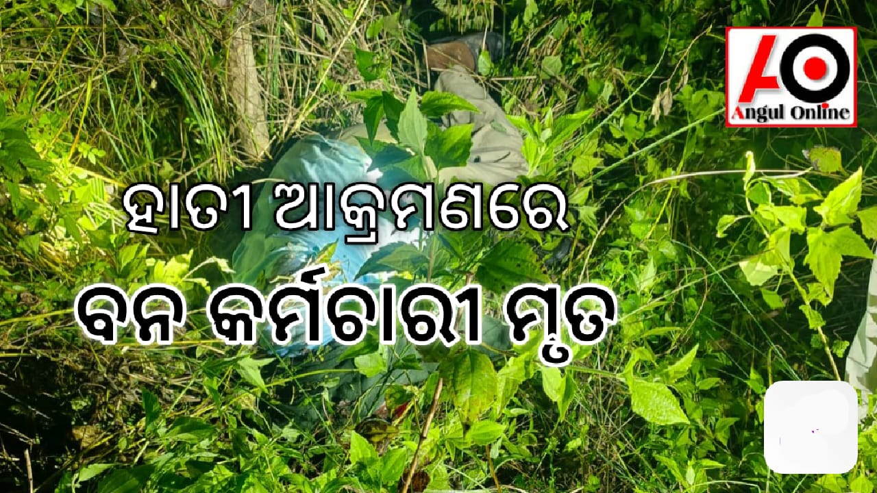 ହାତୀ ଆକ୍ରମଣରେ ବନ କର୍ମଚାରୀ ମୃତ