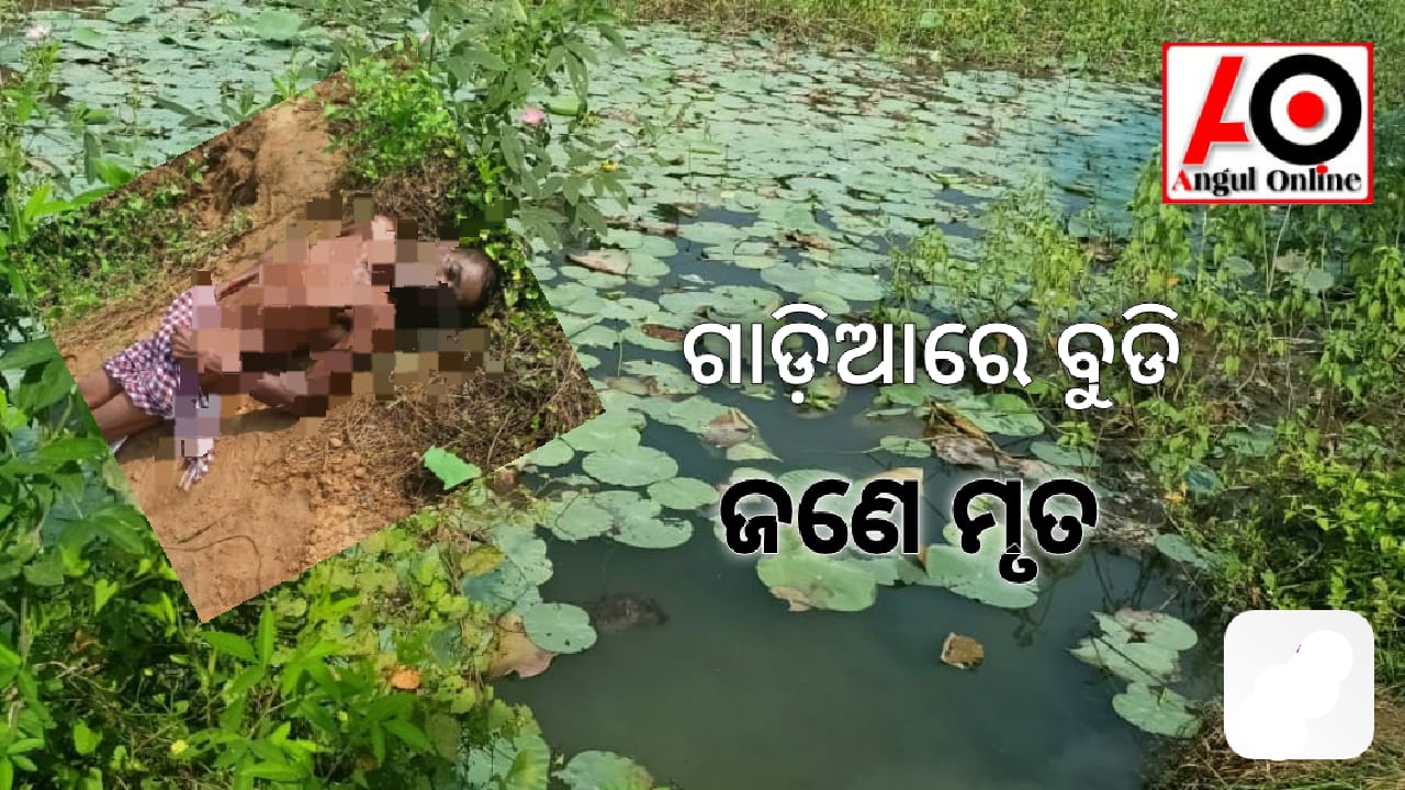 ପଦ୍ମଫୁଲ ତୋଳିବାକୁ ଯାଇ ଜଣେ ମୃତ