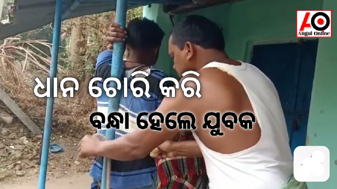 ଧାନ ଚୋର କରିବାକୁ ଯାଇ ଖୁଣ୍ଟରେ ବନ୍ଧା ହେଲେ ଯୁବକ