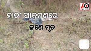 ନିଖୋଜ ବୃଦ୍ଧ ହାତୀ ଆକ୍ରମଣରେ ମୃତ