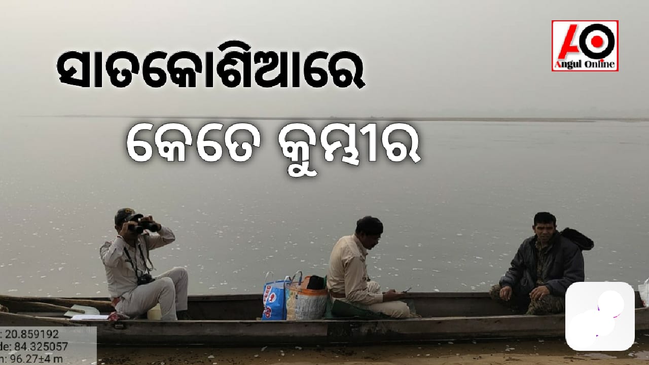 ସାତକୋଶିଆରେ କୁମ୍ଭୀର ଗଣୁଛି ବନବିଭାଗ