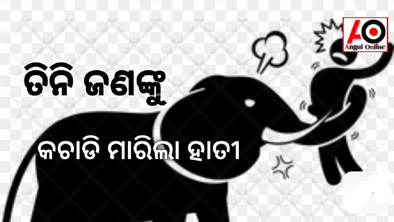 ହାତୀ ଆକ୍ରମଣରେ ତିନି ଜଣଙ୍କର ମୃତ୍ୟୁ