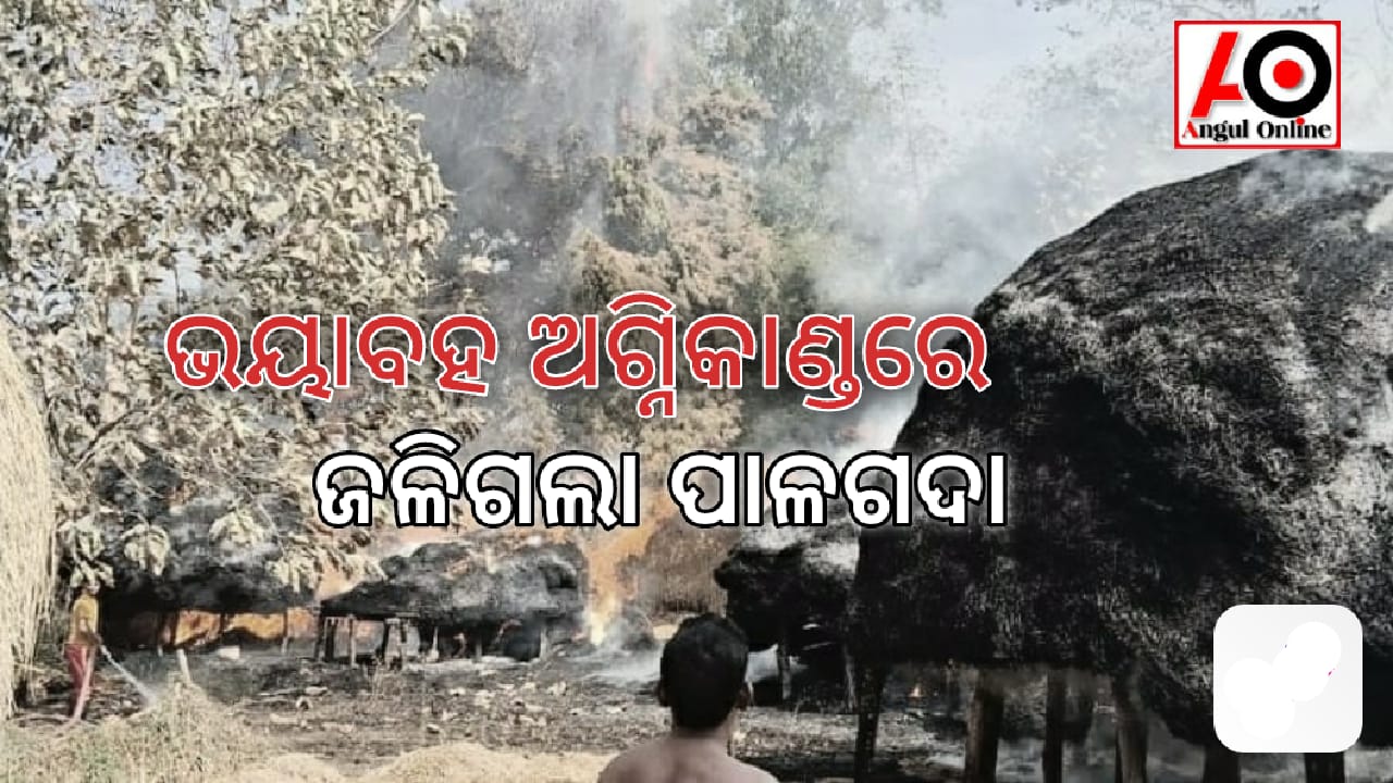 ଅଗ୍ନିକାଣ୍ତରେ ଜଳି ଗଲା ୧୦ ପାଳ ଗଦା