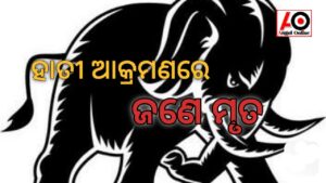 ହାତୀ ଆକ୍ରମଣରେ ବୃଦ୍ଧ ମୃତ