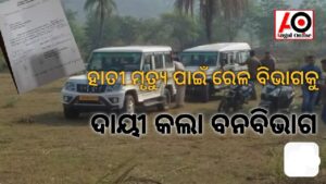 ଟ୍ରେନର ଦ୍ରୁତ ଗତି ପାଇଁ ହାତୀର ମୃତ୍ୟୁ – ବନ ବିଭାଗ