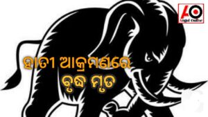 ହାତୀ ଆକ୍ରମଣରେ ବୃଦ୍ଧ ମୃତ