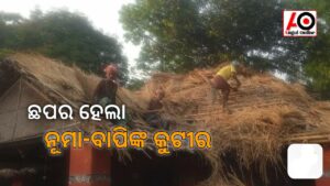 ନୂମା-ବାପିଙ୍କ କୁଟୀର ହେଲା ନୂଆ ଛପର