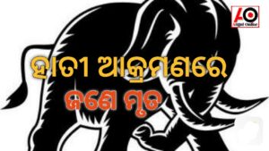 ହାତୀ ଆକ୍ରମଣରେ ଜଣେ ମୃତ