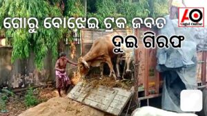 ଗୋରୁ ବୋଝେଇ ଟ୍ରକ ଜବତ – ଦୁଇ ଗିରଫ