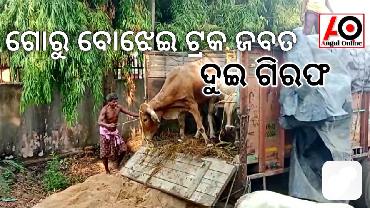 ଗୋରୁ ବୋଝେଇ ଟ୍ରକ ଜବତ – ଦୁଇ ଗିରଫ