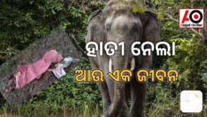 ହାତୀ ଆକ୍ରମଣରେ ଯୁବକ ମୃତ