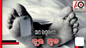 ସାପ କାମୁଡାରେ ଦୁଇଜଣଙ୍କ ମୃତ୍ୟୁ