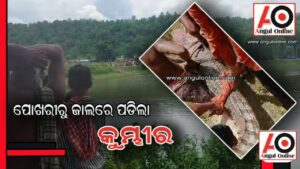 ପୋଖରୀରୁ ଉଦ୍ଧାର ହେଲା କୁମ୍ଭୀର – ଗ୍ରାମବାସୀ ହେଲେ ଆଶ୍ବସ୍ତ