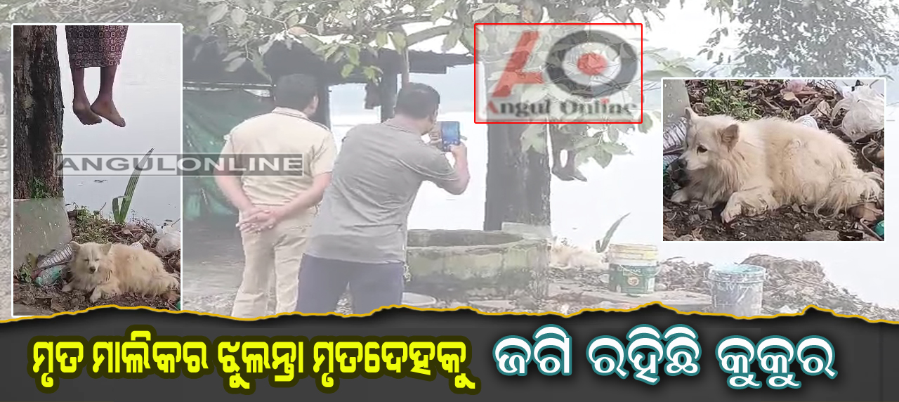 ଝୁଲନ୍ତା ମୃତଦେହ ତଳେ ଜଗି ରହିଛି ପୋଷା କୁକୁର – ପାଖ ମଡାଇ ଦେଉନି କାହାକୁ